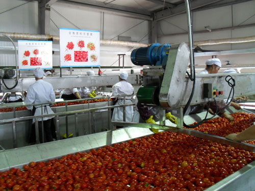 蔬果皮帶流水線進出料口的設(shè)計方案